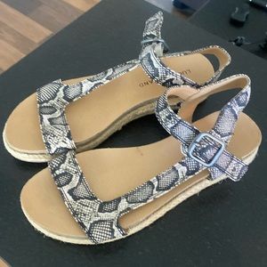 Lucky Brand snake print sandals. Women’s size 7M